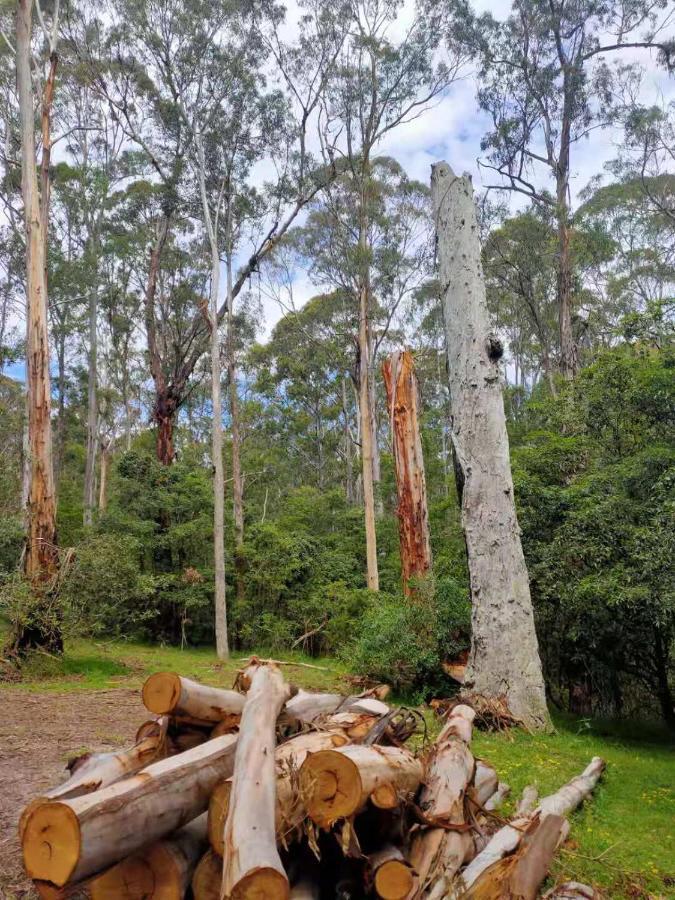 Lakes Entrance Log Cabins 외부 사진