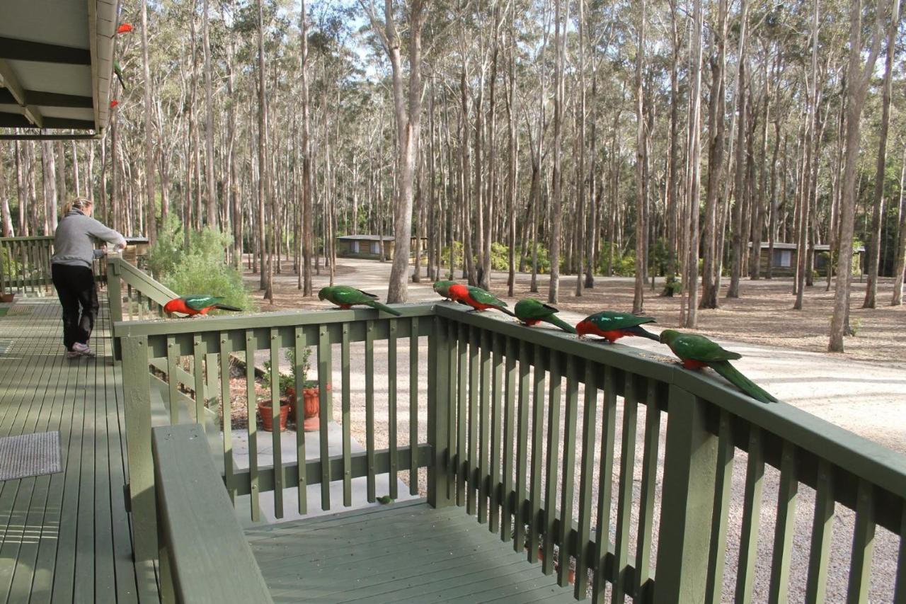 Lakes Entrance Log Cabins 외부 사진